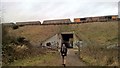 Path below railway embankment