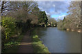 Grand Union canal above Bushes Lock