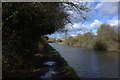 Grand Union Canal north of Northchurch