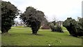 Green space between Berkeley and Crosby, Scunthorpe