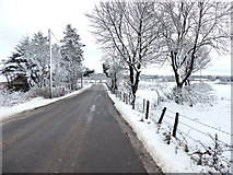 H5274 : Snow along Racolpa Road by Kenneth  Allen