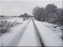 H5274 : Snow, Crocknacor Road by Kenneth  Allen