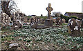 S4352 : Snowdrops and Headstones by kevin higgins