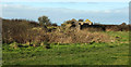 Ruins near Delabole