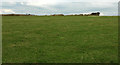 SX0584 : Field and boundary near Treligga by Derek Harper