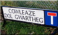 Cowleaze/D?l Gwartheg name sign facing Dancing Hill, Magor