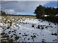 Wintry at Glencordial