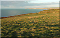 Field with a view, Port Gaverne