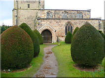 SK4032 : An avenue of clipped yew bushes, Elvaston churchyard by Humphrey Bolton