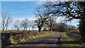 Near to Ryton Heath farm