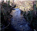 Upstream along Malpas Brook, Bettws, Newport