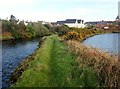 View East along the Shimna River/Castle Park Lake Stopbank