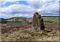 NN7917 : Standing stone forming part of a stone row at Dunruchan by Sandy Gerrard
