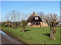 Great Abington: cottages on North Road