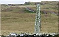 Ballinaby stone row