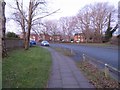 Houses off Wren Way