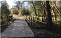 Foot and Road Bridge