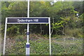 Sydenham Hill Station