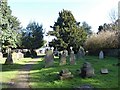 St Mary, Ewell: churchyard (viii)