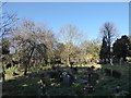 St Dunstan, Cheam: thicket