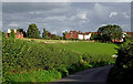 Kinver Lane near Caunsall in Worcestershire