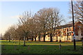 Houses at Ham Green