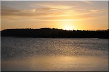 ST5559 : Sunrise over Chew Valley Lake by Philip Halling
