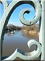 Tuckton: a kayaker on the Stour