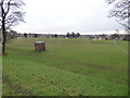 SE1528 : Harold Park: football pitch by Stephen Craven
