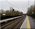 SP1199 : South through Butlers Lane railway station, Sutton Coldfield by Jaggery