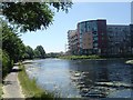 Junction: River Lee Navigation / Hertford Union Canal