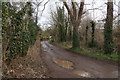 Track past Thorncroft Manor, Leatherhead