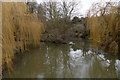 River Mole at Thorncroft, Leatherhead