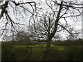 View of fields from new footpath