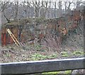 Rivelin Glen Quarry, Roscoe Bank, Sheffield