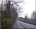 A399 on north slope of Mockham Down