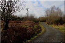 NS1677 : Telecom mast, Dunoon by Alan Reid