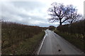 TL1219 : Copt Hall Road, Chiltern Green by Geographer