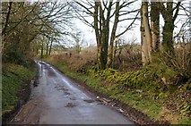 ST5351 : Nine Barrows Lane, Priddy by Philip Halling