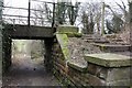 Underbridge on the Link Trail