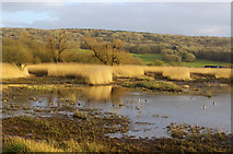 SD4774 : Leighton Moss in winter by Ian Taylor