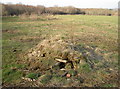 Pile of logs in Moor Close