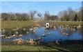 Flood basin at New Lubbesthorpe