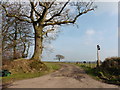 Track to Glanville Farm