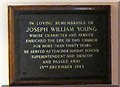 A tribute to Joseph William Young