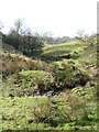 Water Gate Beck