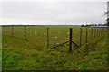 Field near Westfield Farm