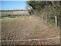 Over Hensting Valley from Whites Hill Farm