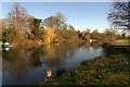 The Thames at Runnymede