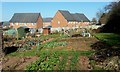 Tudorville allotments, 3